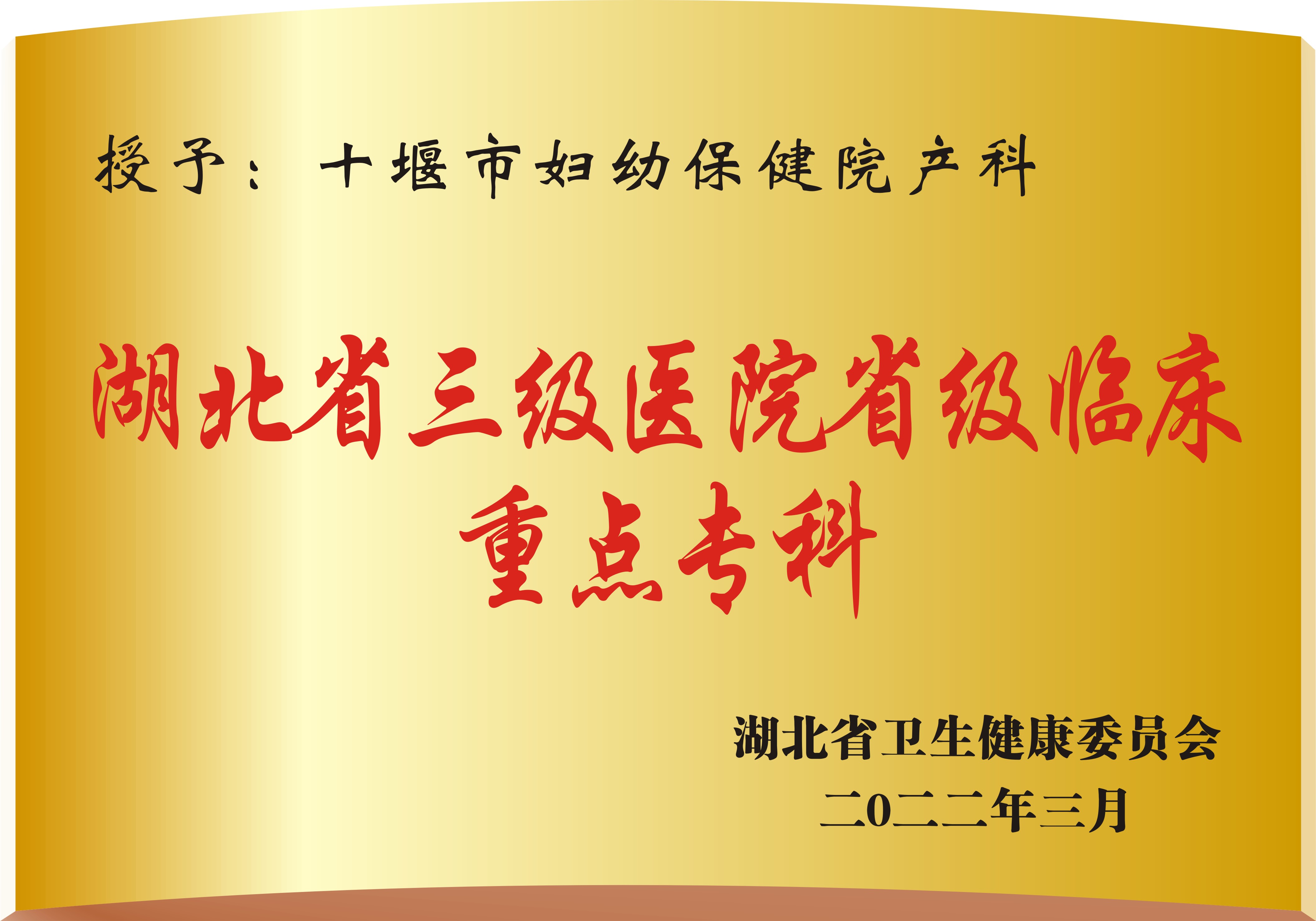 湖北省三级医院省级临床重点专科