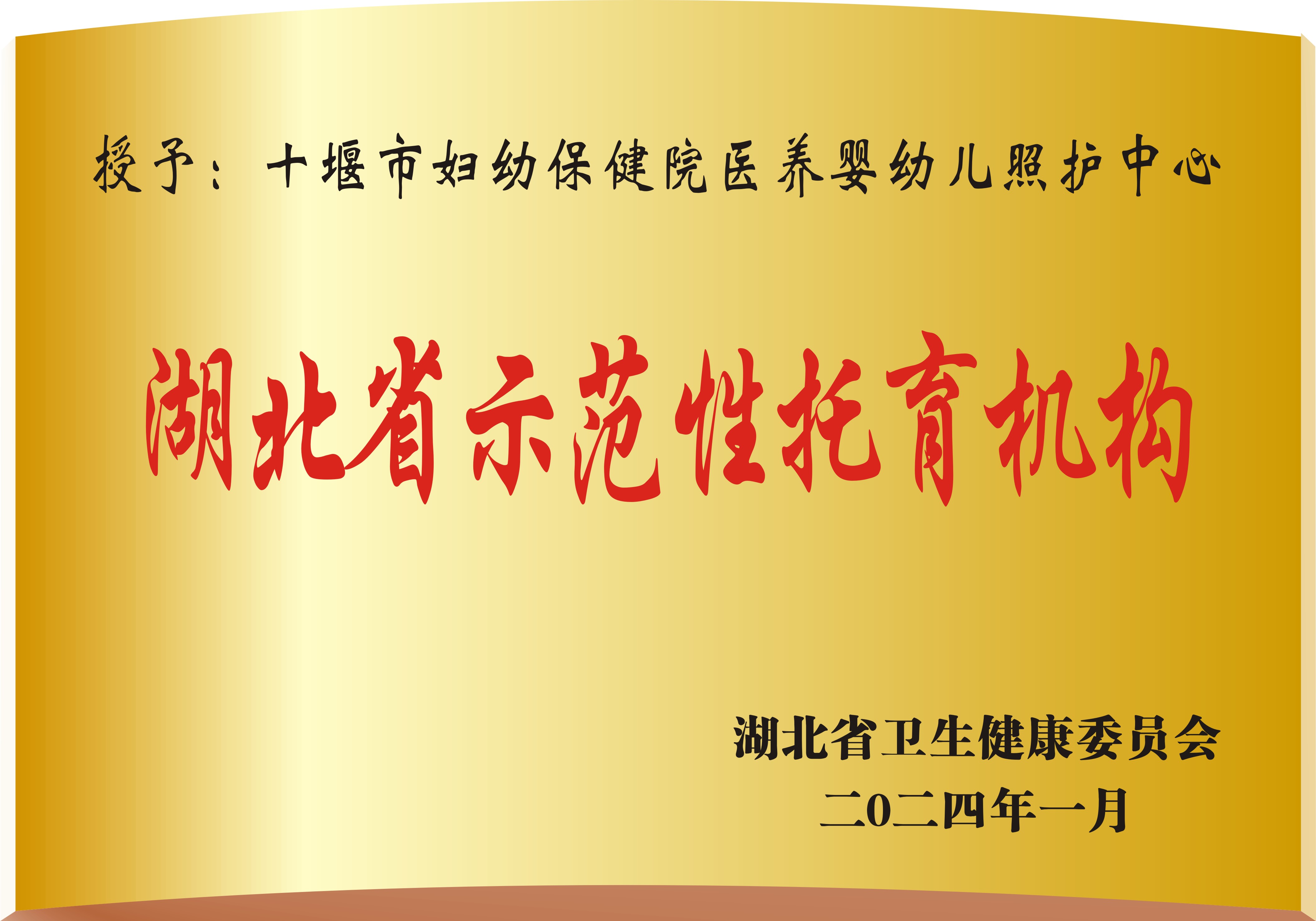 湖北省示范性托育机构