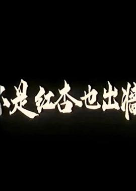 人狗之战11高清正版免费