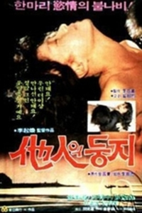 丰满姑娘免费观看正版电视剧最新章